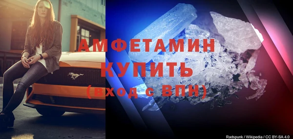 ПСИЛОЦИБИНОВЫЕ ГРИБЫ Гусев