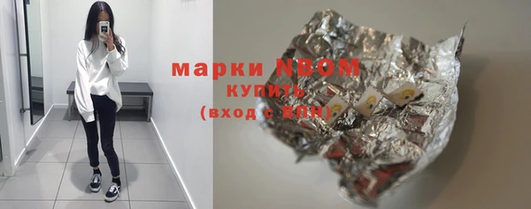 ПСИЛОЦИБИНОВЫЕ ГРИБЫ Гусев