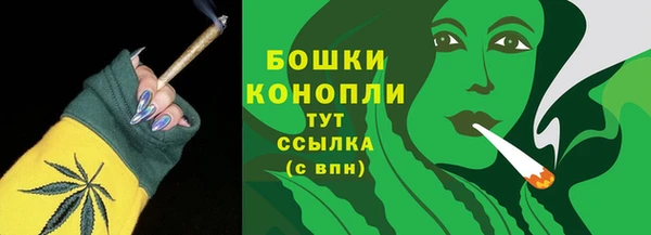 ешки Гусиноозёрск