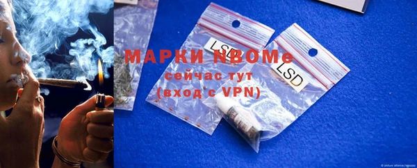 ПСИЛОЦИБИНОВЫЕ ГРИБЫ Гусев