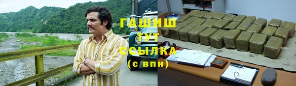 ПСИЛОЦИБИНОВЫЕ ГРИБЫ Гусев